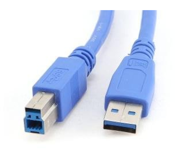 GEMBIRD Kabel USB - USB-B 0,5m CCP-USB3-AMBM-0.5M - 182298 - zdjęcie